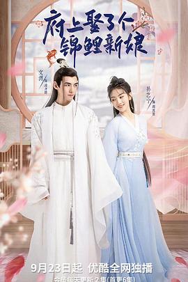 府上娶了个锦鲤新娘第02集