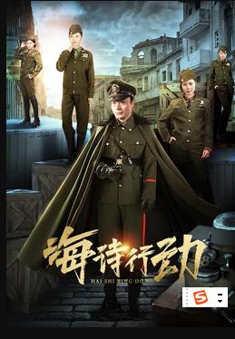 海诗行动第21集(大结局)