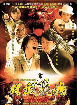 精武飞鸿第11集