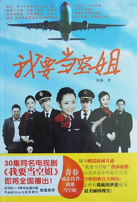 我要当空姐第13集