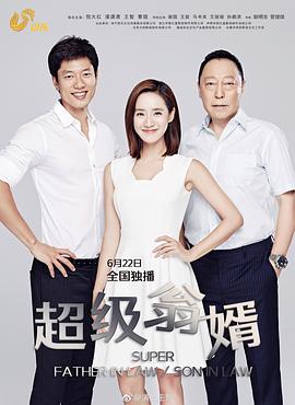 超级翁婿第02集