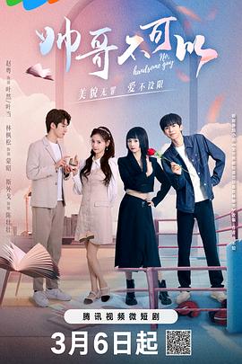 帅哥不可以第12集