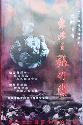 大帅传奇第12集